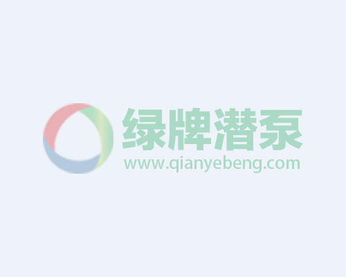 经典案例：加油站标准型潜油泵（二十）